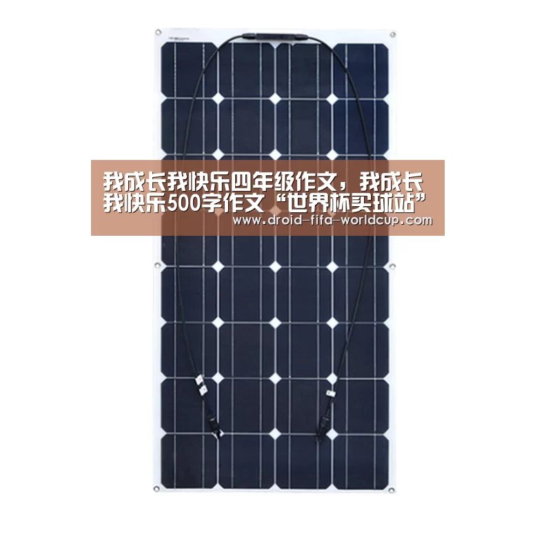 我成长我快乐四年级作文,我成长我快乐500字作文“世界杯买球站”(图2) 买球站